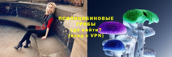 мдма Богданович
