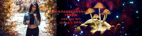 мдма Богданович