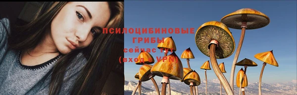 твердый Богородицк