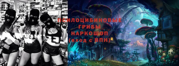 твердый Богородицк