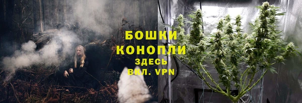 мдма Богданович