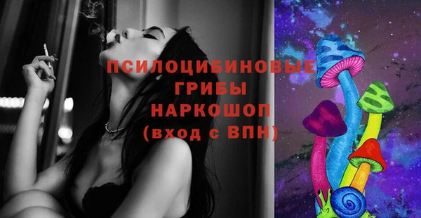 мдма Богданович