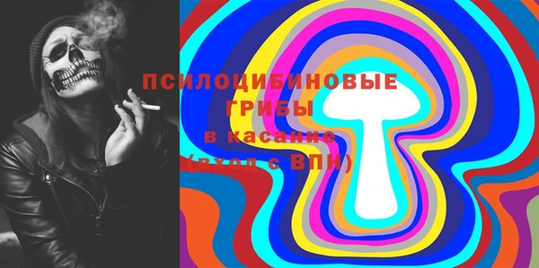 мдма Богданович